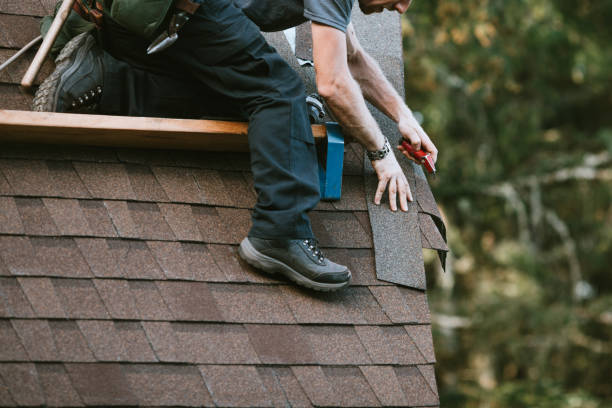 Best Roof Gutter Cleaning  in Rocky River, OH